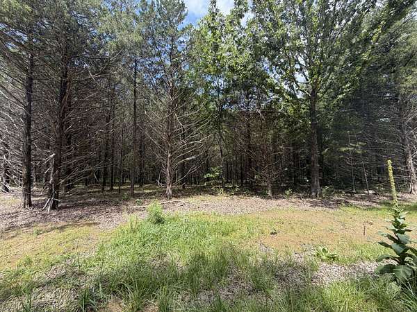 5 Acres of Residential Land for Sale in Sycamore, Missouri