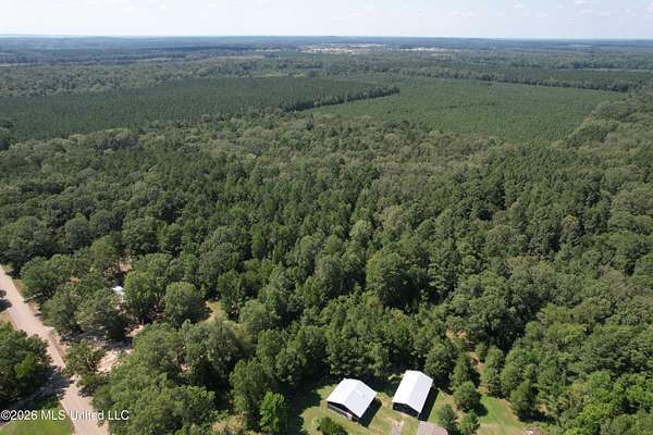 5 Acres of Residential Land for Sale in Pelahatchie, Mississippi