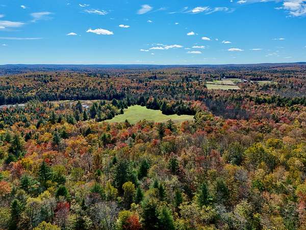 60.8 Acres of Recreational & Residential Land for Sale in Ellenville, New York
