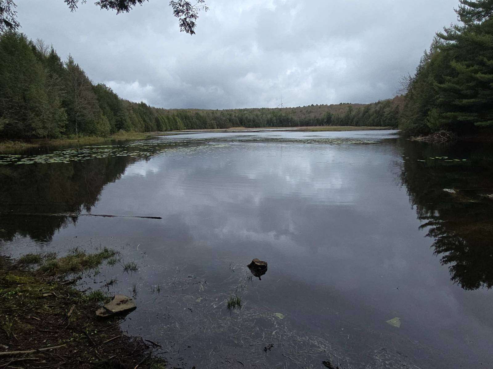147 Acres of Recreational & Residential Land for Sale in Windsor, New York