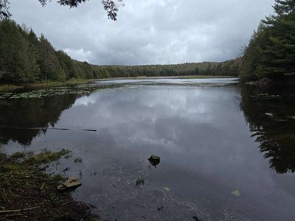 147 Acres of Recreational & Residential Land for Sale in Windsor, New York