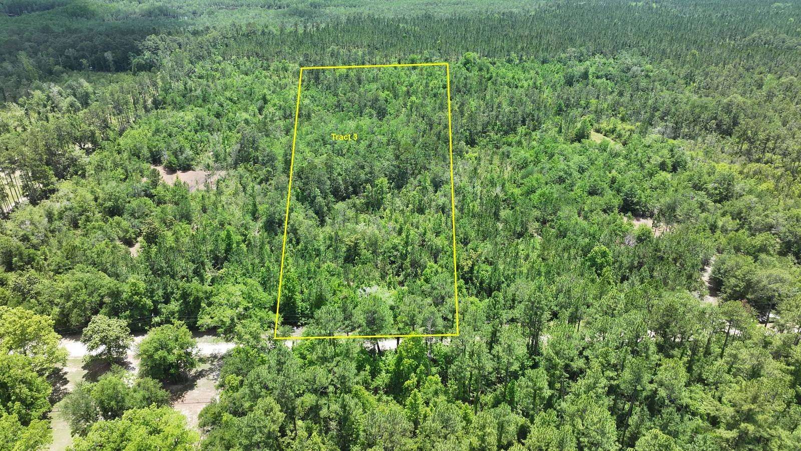10 Acres of Recreational & Residential Land for Sale in Vernon, Florida