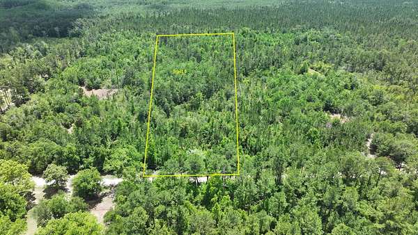 10 Acres of Recreational & Residential Land for Sale in Vernon, Florida