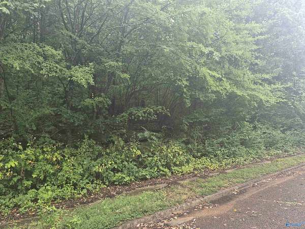 0.8 Acres of Residential Land for Sale in Huntsville, Alabama