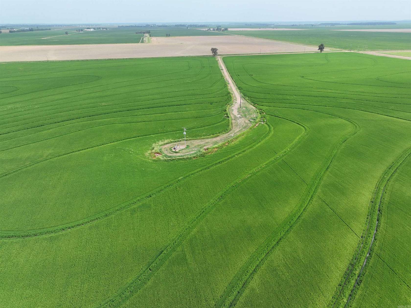 451 Acres of Recreational Land for Sale in Weiner, Arkansas