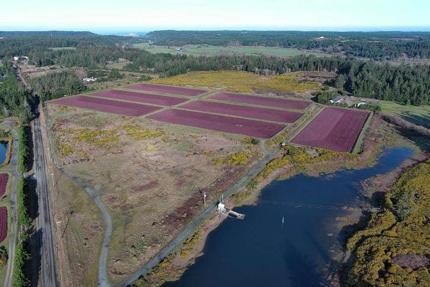 93 Acres of Improved Mixed-Use Land for Sale in Sixes, Oregon