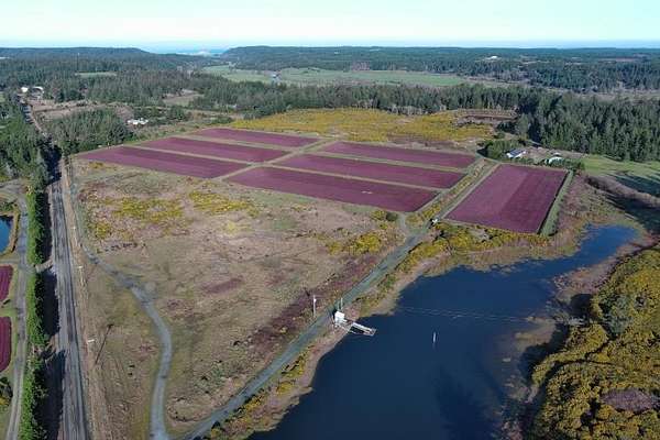 93 Acres of Improved Mixed-Use Land for Sale in Sixes, Oregon