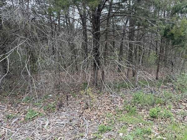 0.26 Acres of Residential Land for Sale in Cape Fair, Missouri