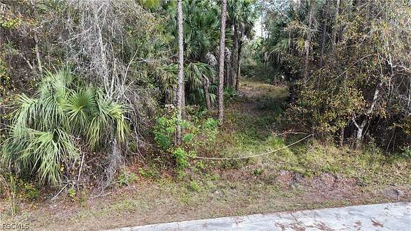 5.62 Acres of Residential Land for Sale in Naples, Florida
