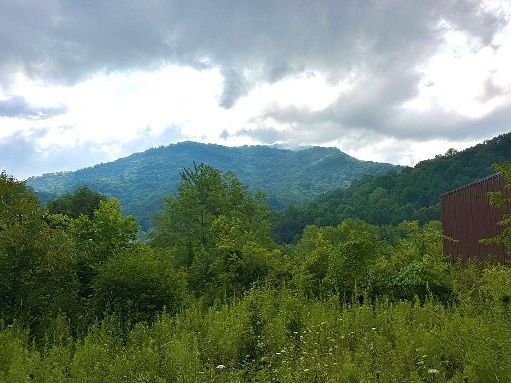 37.4 Acres of Recreational & Residential Land for Sale in Clyde, North Carolina