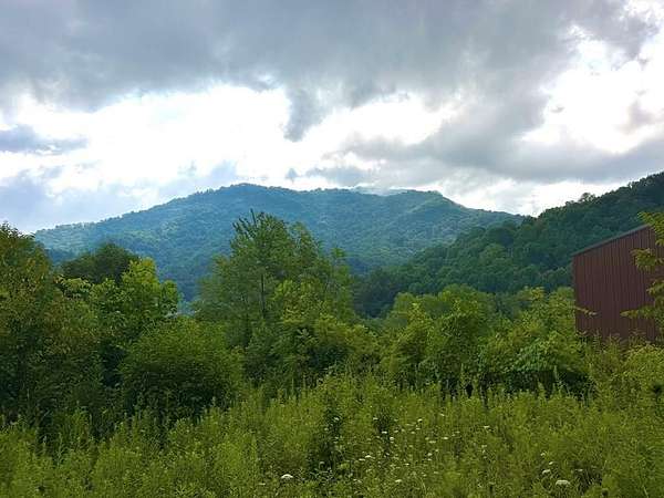 37.4 Acres of Recreational & Residential Land for Sale in Clyde, North Carolina