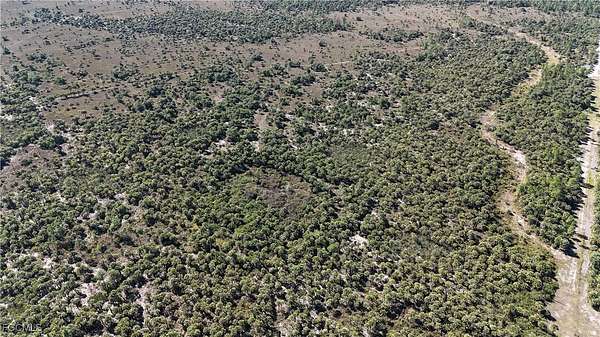 40 Acres of Recreational Land for Sale in Naples, Florida