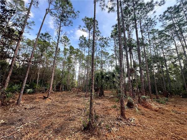 5 Acres of Land for Sale in Naples, Florida
