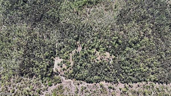 15 Acres of Land for Sale in Naples, Florida