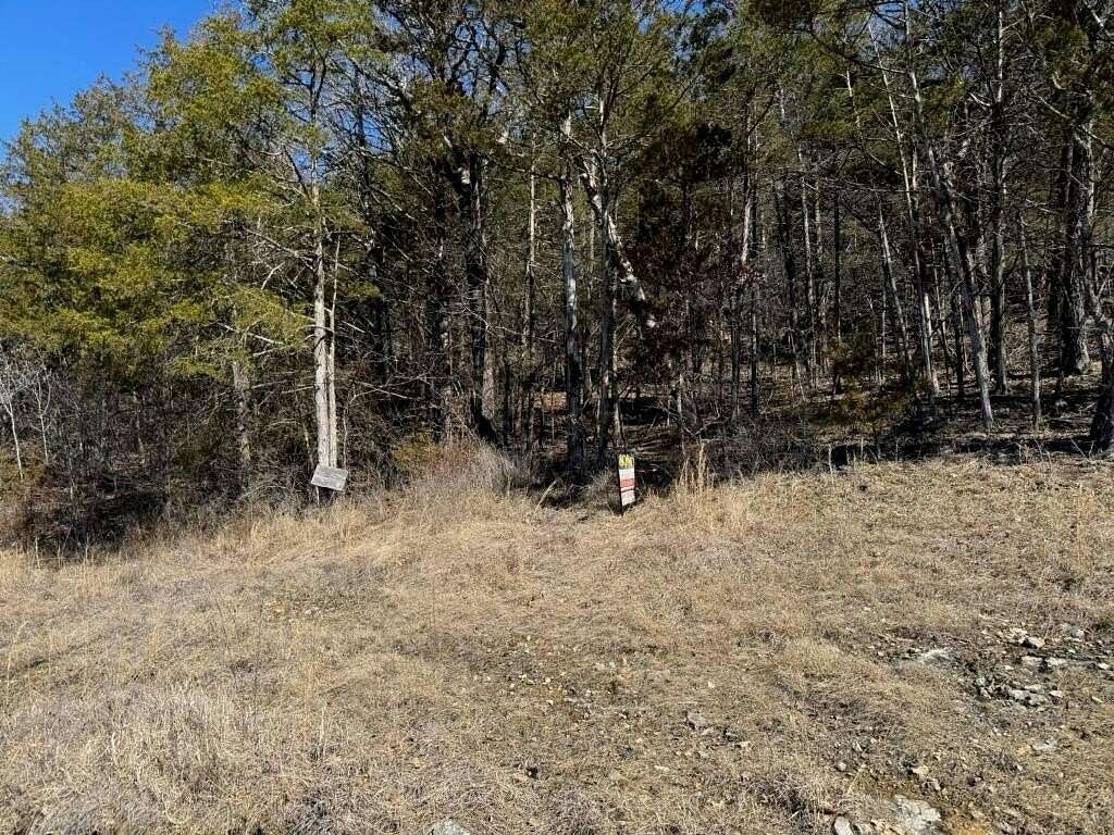 1.18 Acres of Land for Sale in Saddlebrooke, Missouri