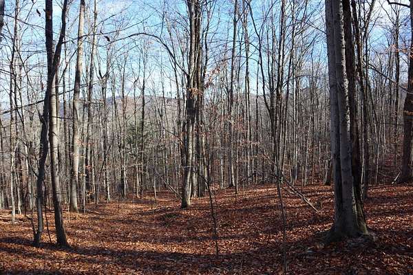 7 Acres of Residential Land for Sale in Stony Creek, New York