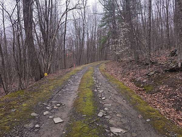 58.4 Acres of Recreational & Residential Land for Sale in Windsor, New York