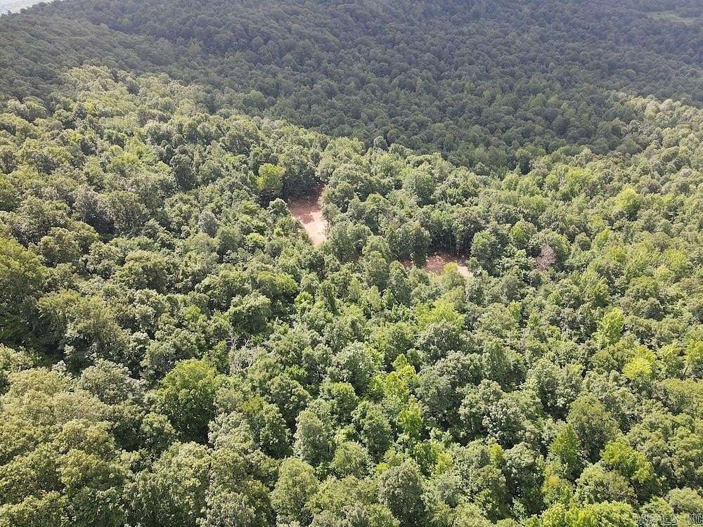 21 Acres of Recreational Land for Sale in Mount Pleasant Township, Arkansas