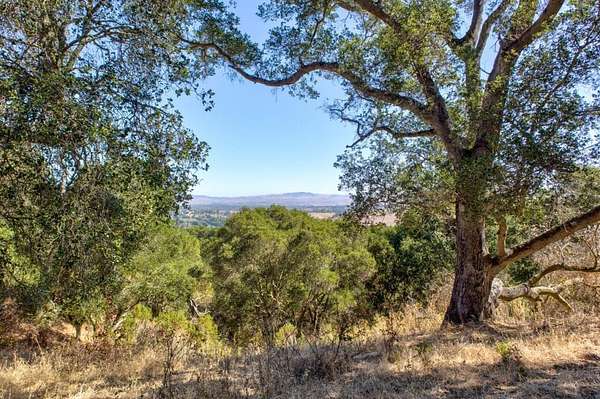 46.3 Acres of Land for Sale in Pleasanton, California