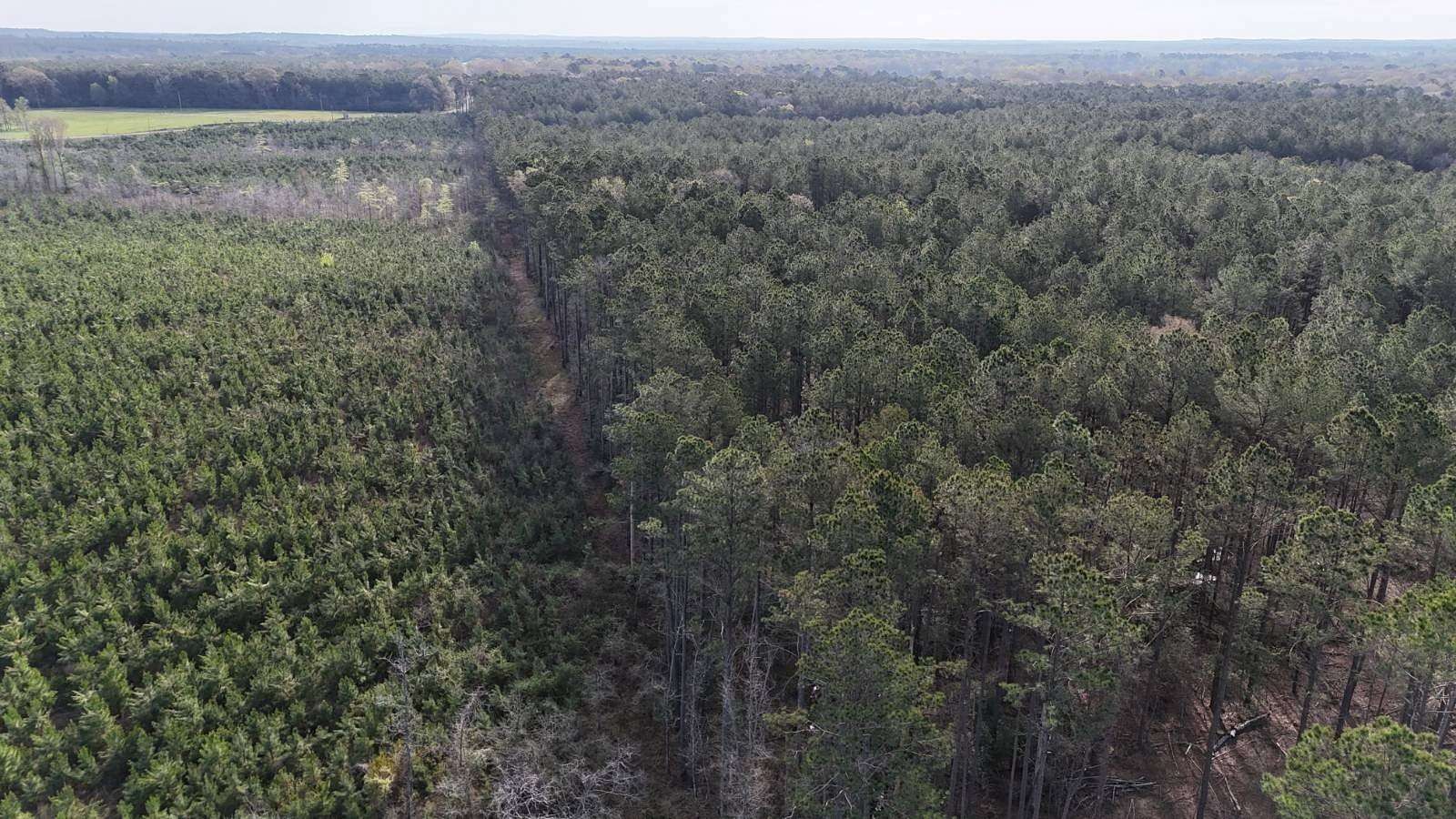 106 Acres of Recreational Land for Sale in Robeline, Louisiana