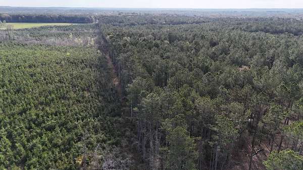 106 Acres of Recreational Land for Sale in Robeline, Louisiana