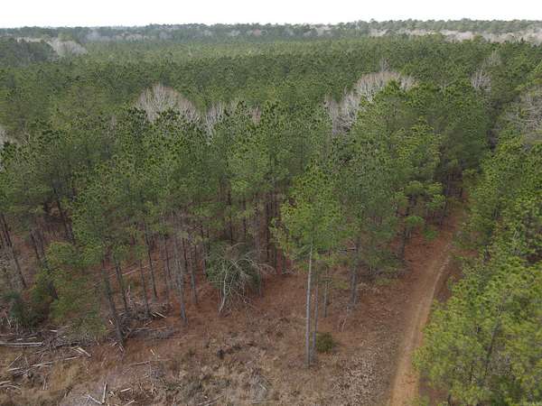 200 Acres of Recreational & Residential Land for Sale in Strong, Arkansas