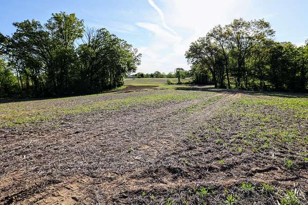 80 Acres of Land for Sale in Onsted, Michigan