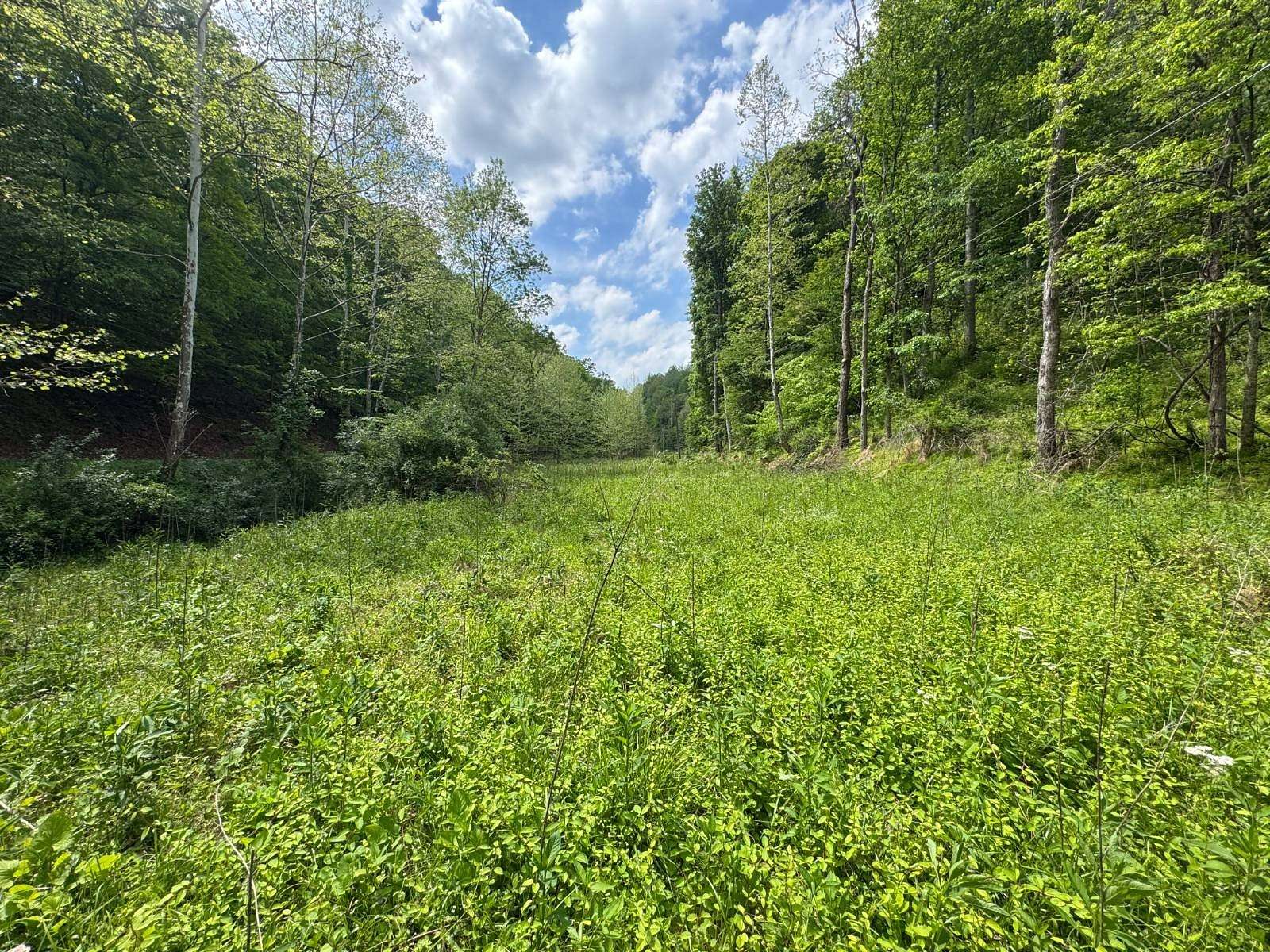 16 Acres of Recreational & Residential Land for Sale in Normantown, West Virginia