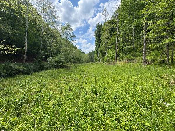 16 Acres of Recreational & Residential Land for Sale in Normantown, West Virginia