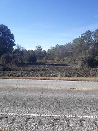 76 Acres of Land for Sale in Daleville, Alabama