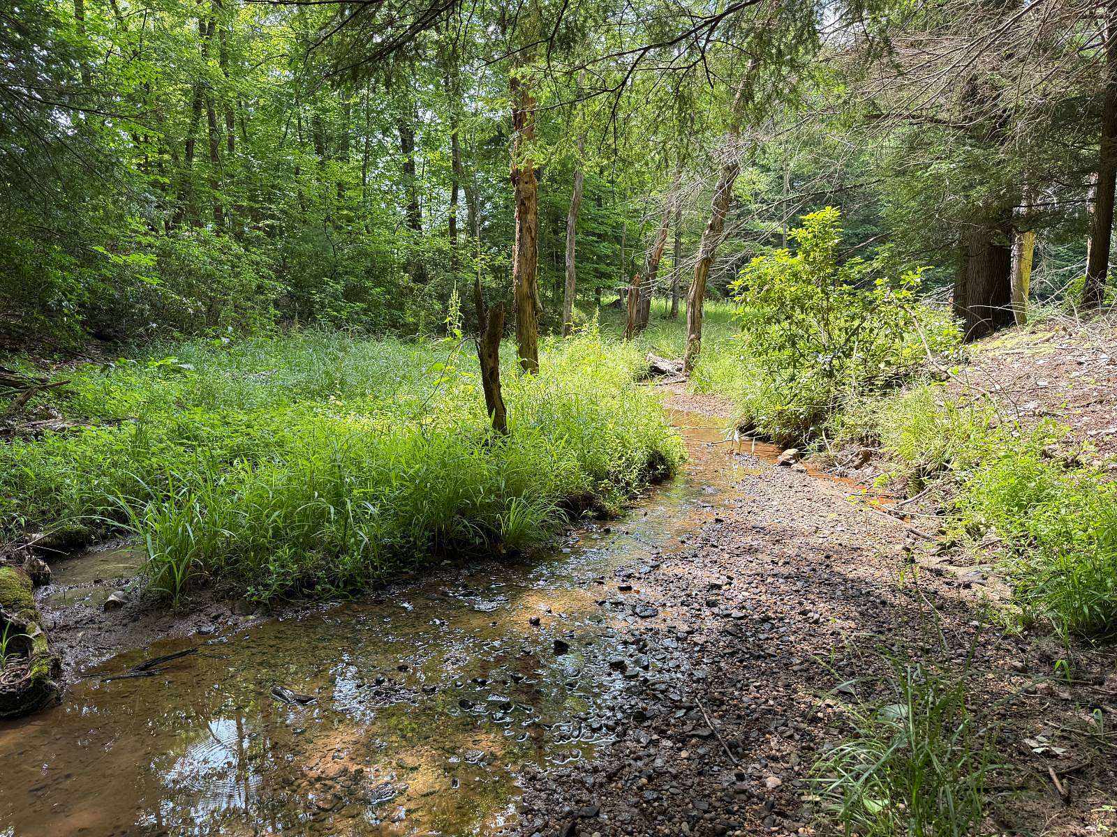 18.1 Acres of Recreational & Residential Land for Sale in Warren, Pennsylvania