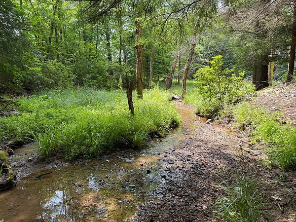 18.1 Acres of Recreational & Residential Land for Sale in Warren, Pennsylvania
