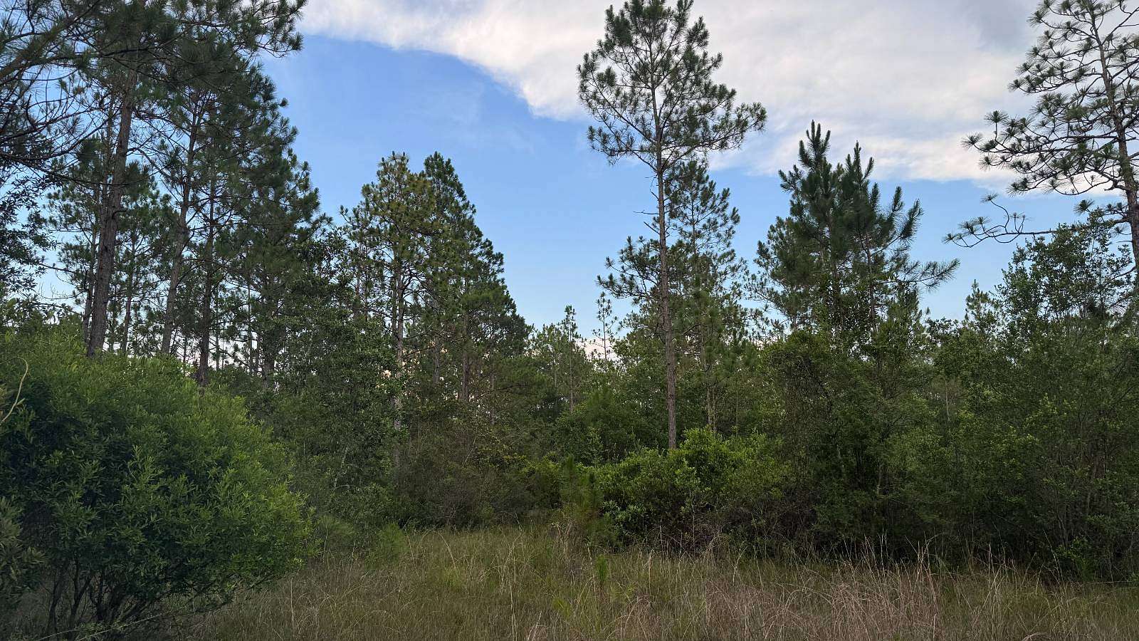 30 Acres of Recreational Land for Sale in Moss Point, Mississippi