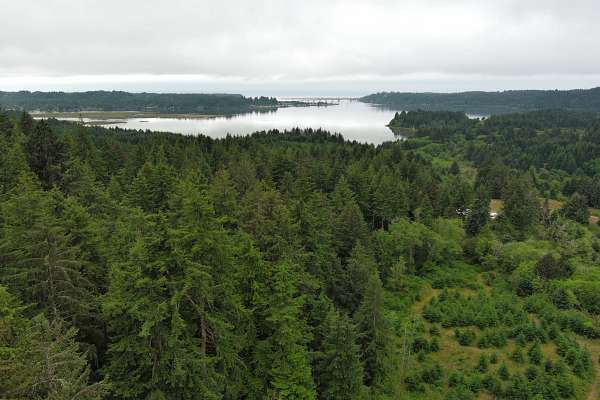 78.9 Acres of Recreational & Residential Land for Sale in Waldport, Oregon