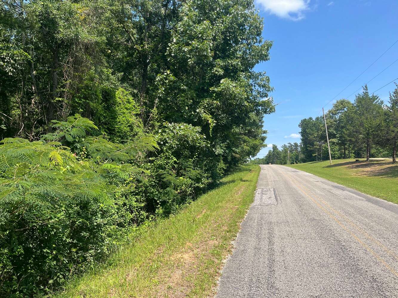 42 Acres of Recreational & Residential Land for Sale in Guin, Alabama