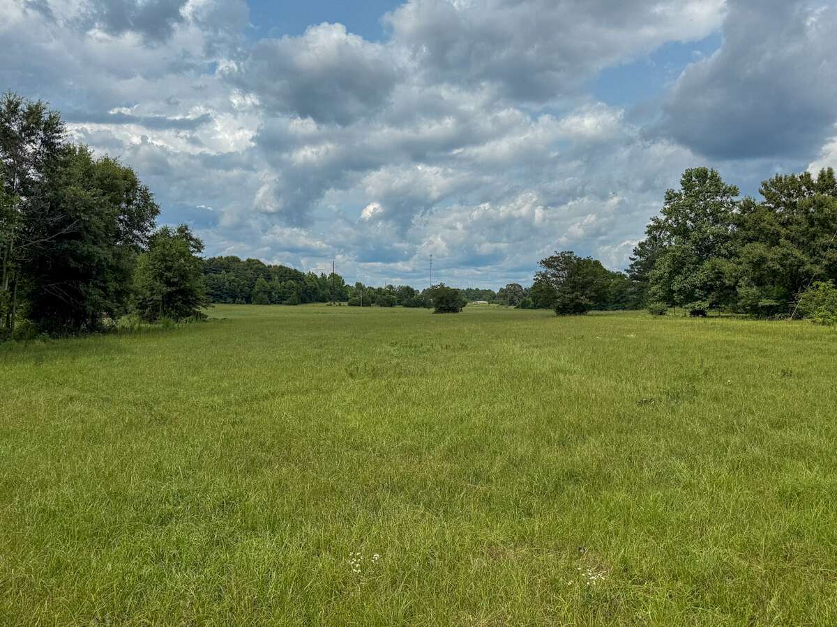9 Acres of Residential Land for Sale in Valley Grande, Alabama