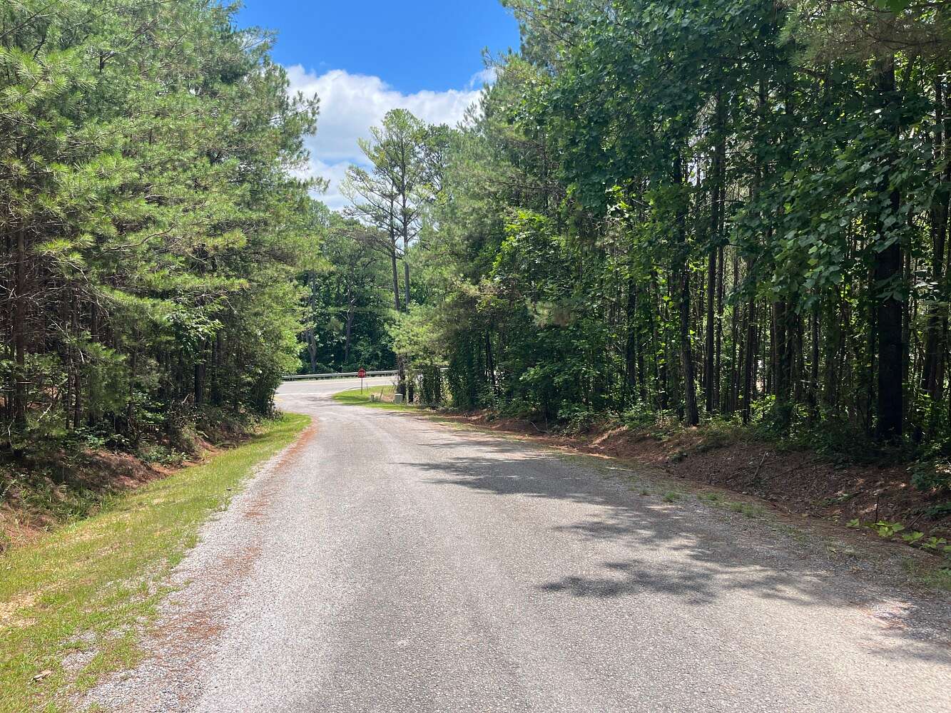 117 Acres of Recreational Land for Sale in Eldridge, Alabama