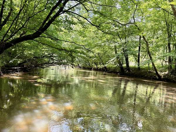 13.7 Acres of Recreational & Residential Land for Sale in Waterloo, South Carolina