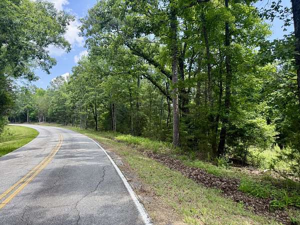 12 Acres of Recreational & Residential Land for Sale in Waterloo, South Carolina