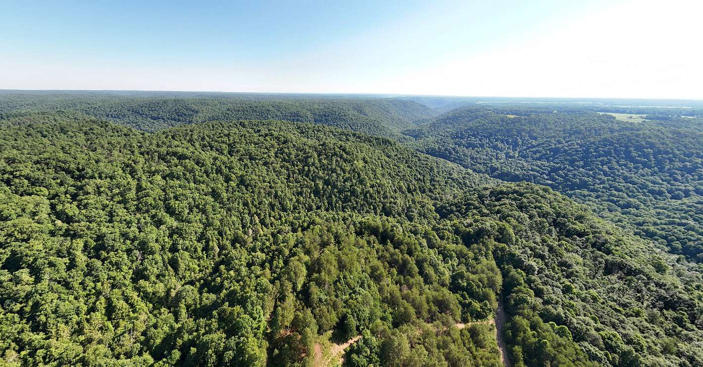 117 Acres of Recreational & Residential Land for Sale in Monterey, Tennessee