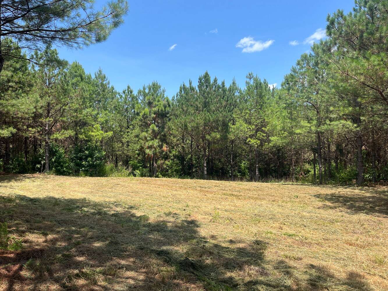 61 Acres of Recreational & Residential Land for Sale in Winfield, Alabama
