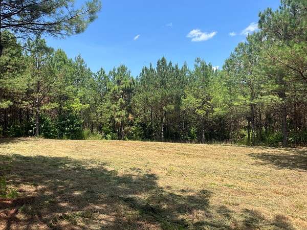 61 Acres of Recreational & Residential Land for Sale in Winfield, Alabama