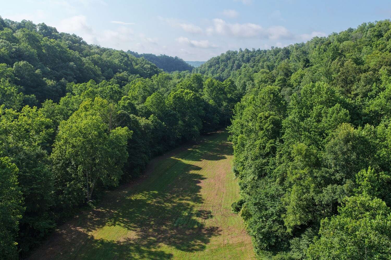 240 Acres of Land for Sale in Columbia, Kentucky