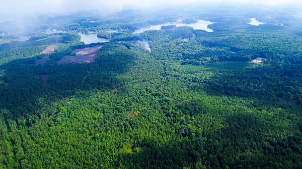 80.7 Acres of Recreational Land for Sale in Dadeville, Alabama