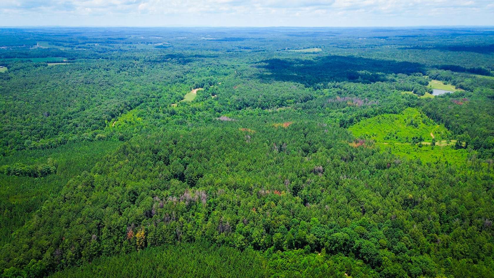 190 Acres of Recreational Land for Sale in Daviston, Alabama