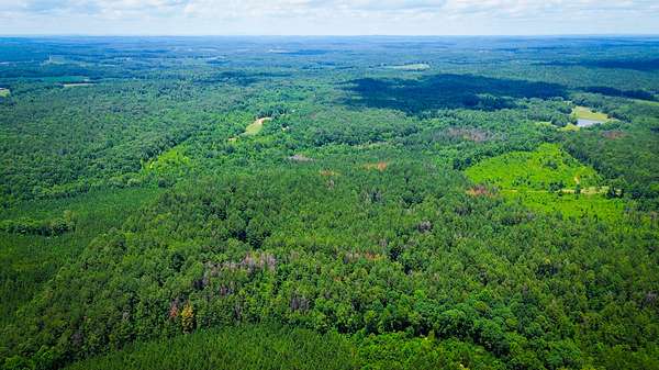 190 Acres of Recreational Land for Sale in Daviston, Alabama