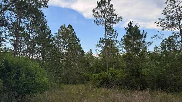 10 Acres of Recreational Land for Sale in Moss Point, Mississippi