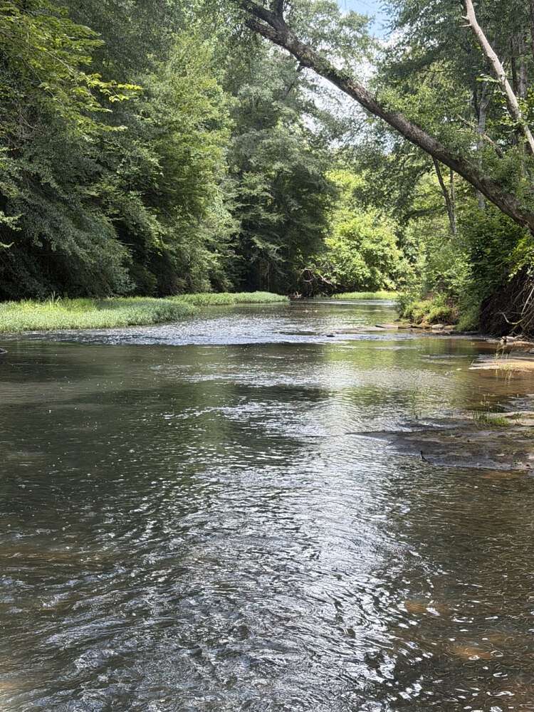 3 Acres of Residential Land for Sale in Berry, Alabama