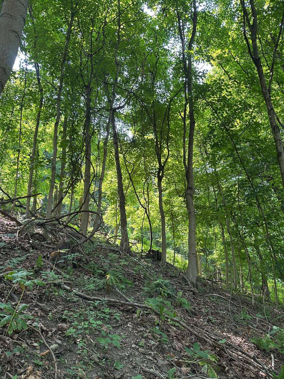 5.78 Acres of Residential Land for Sale in McKeesport, Pennsylvania