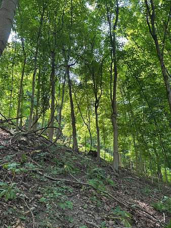 5.78 Acres of Residential Land for Sale in McKeesport, Pennsylvania